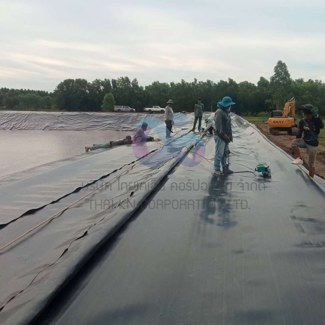 งานปูบ่อHDPE2mmยโสธร2