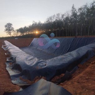 งานปูบ่อสวนทุเรียนHDPE1mm2