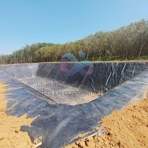 งานปูบ่อสวนทุเรียนHDPE1mm3
