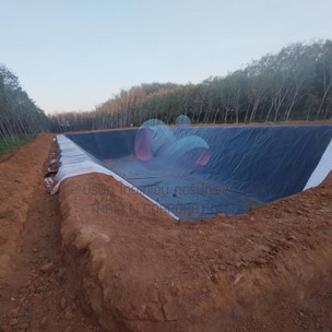 งานปูบ่อสวนทุเรียนHDPE1mm