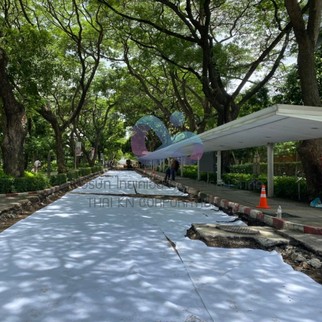 Geotextileสำหรับงานถนน1