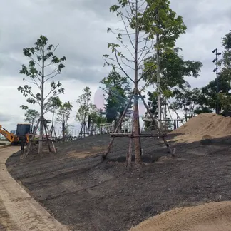 งานปูGeogrid8