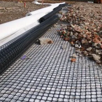 Geogrid