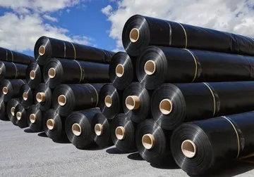Geomembrane2