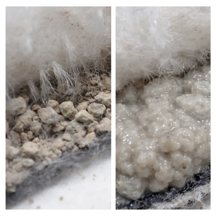 GELBentonite2