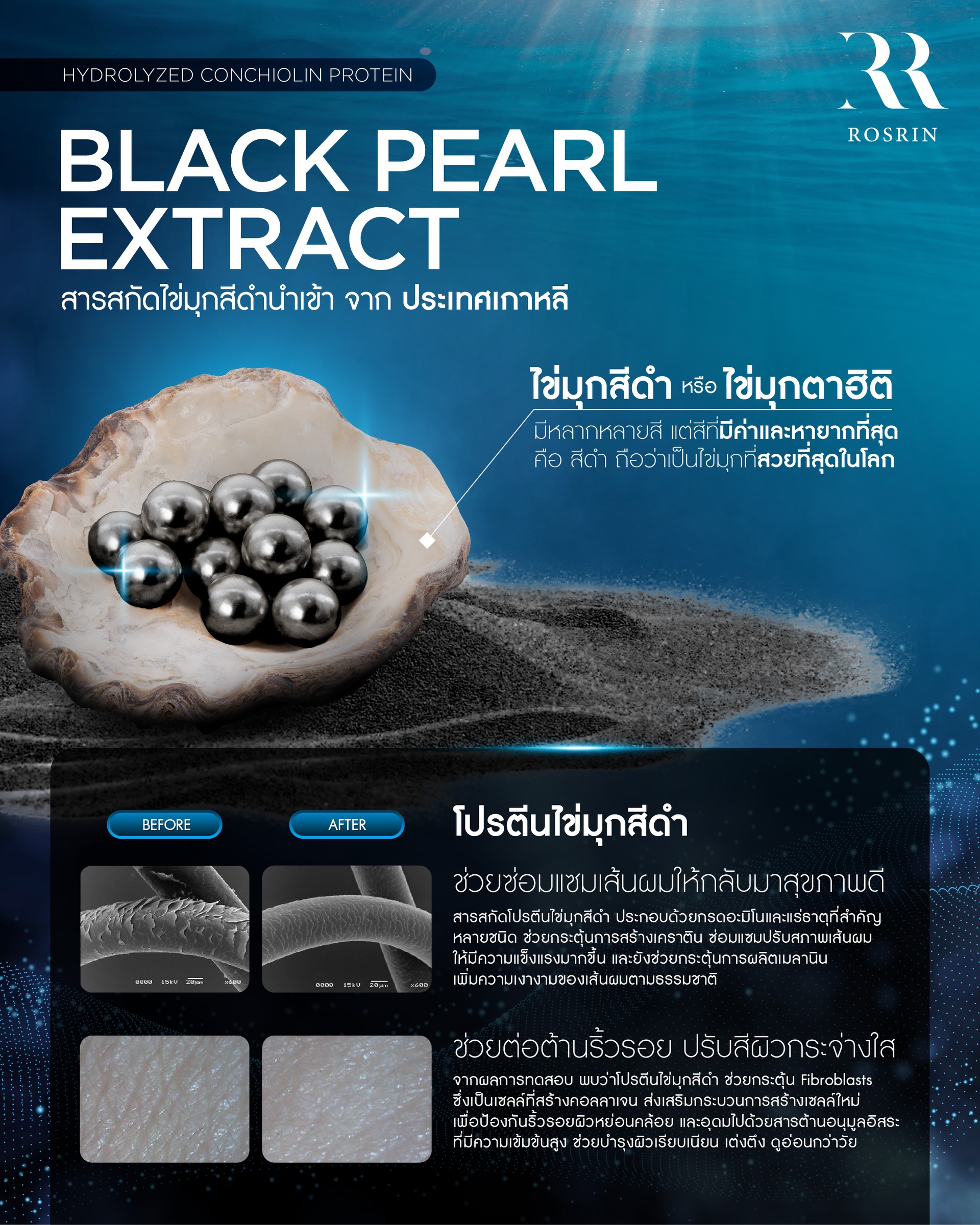 Black Pearl Extract สารสกัดไข่มุกดำจากประเทศเกาหลี