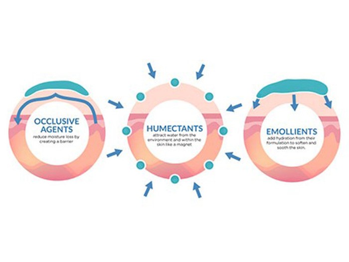 Emollient & Humectant