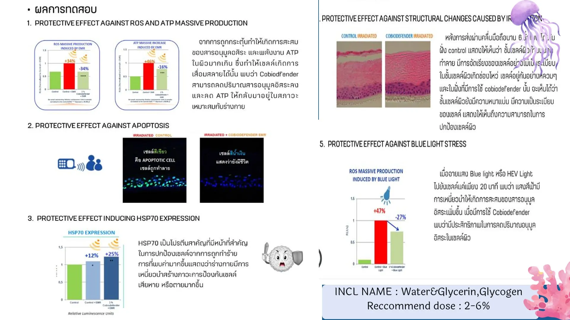 Slide13