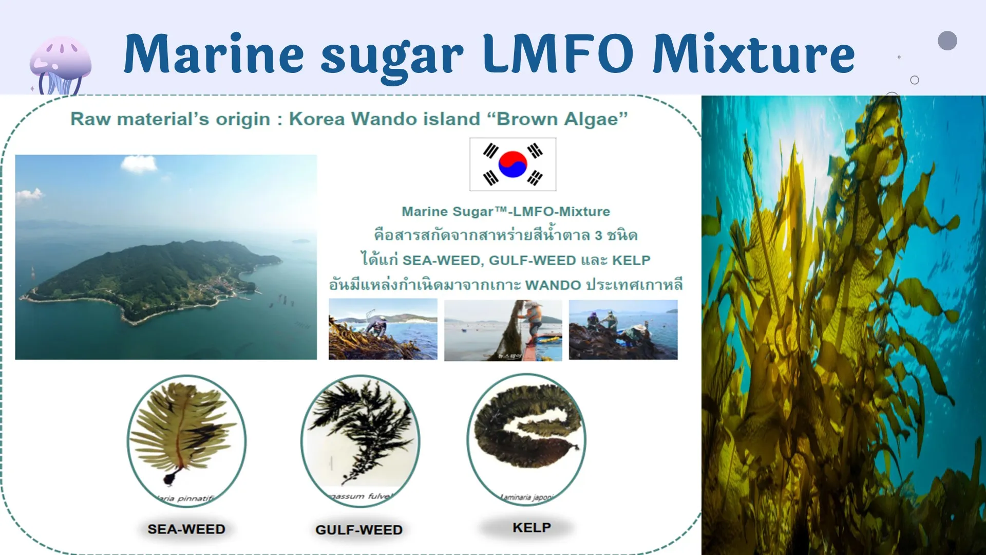 Slide14