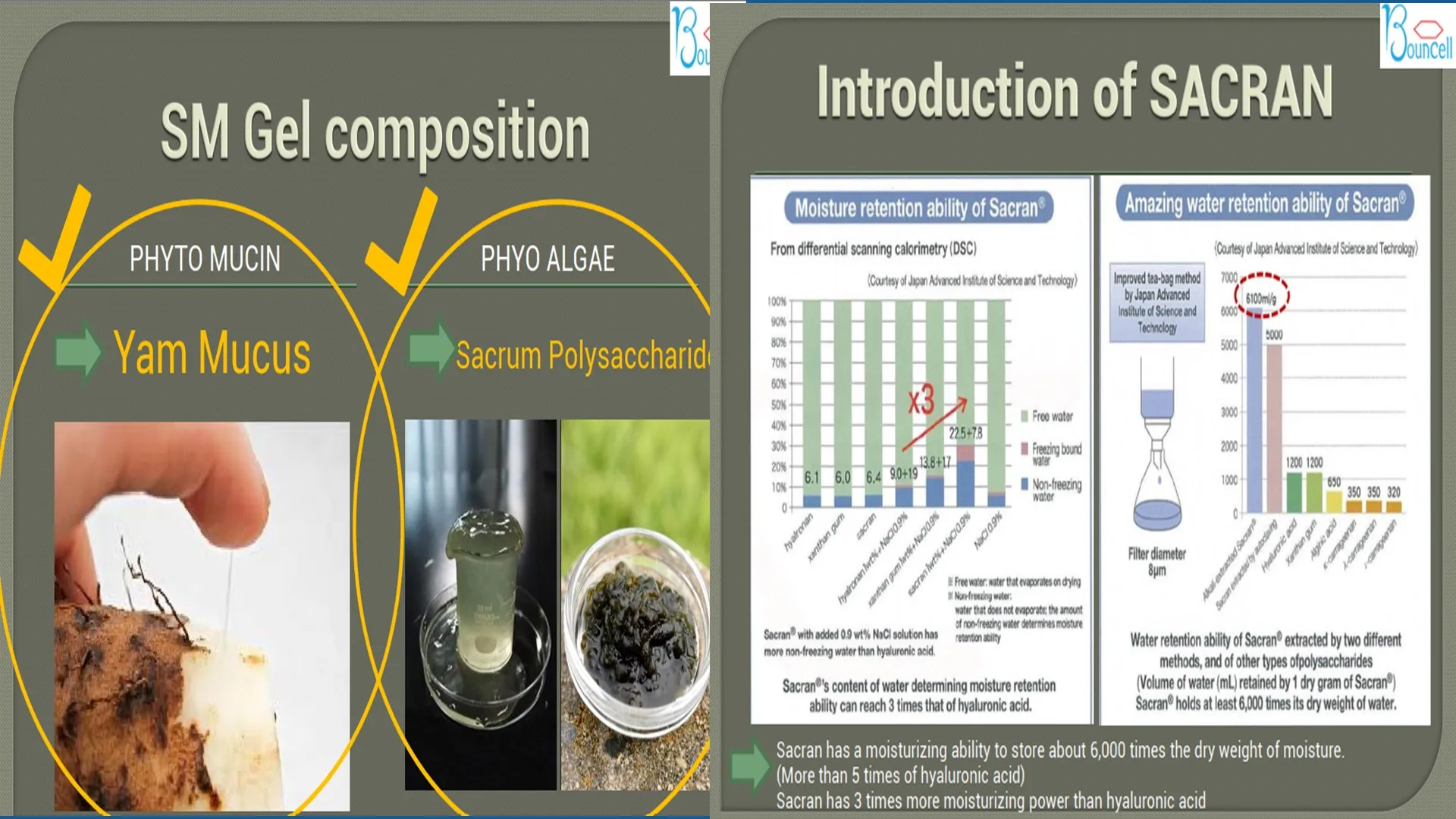 Slide27