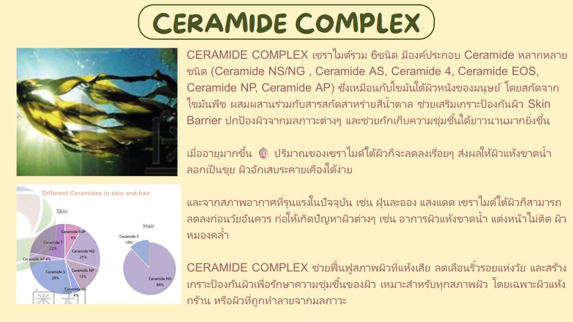 Slide28