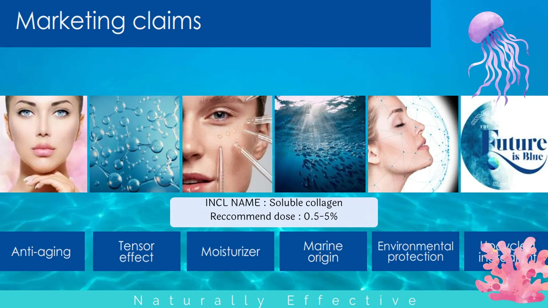 Slide8