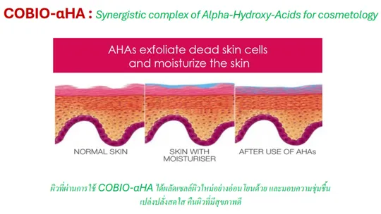 Slide47