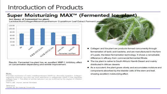 Slide57