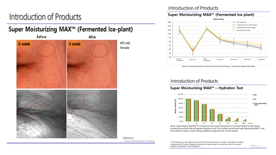 Slide58