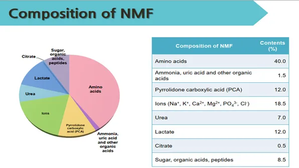 Slide24