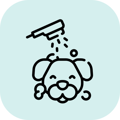 GROOMING
