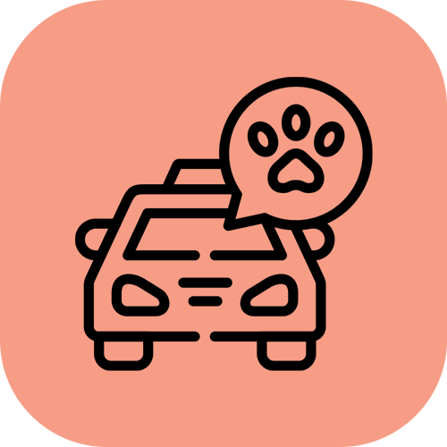 pet-taxi