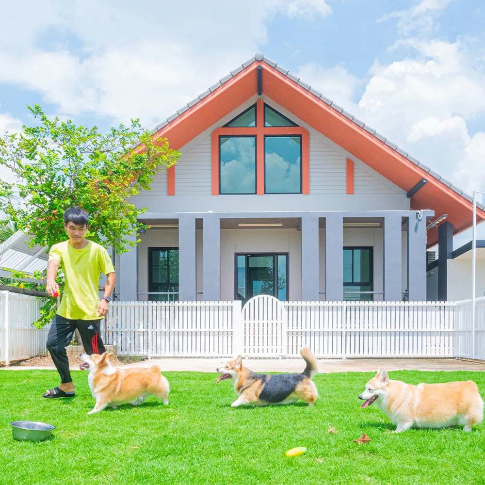 “โรงแรมสุนัข”-เลือกอย่างไรให้-น้องหมาแฮปปี้