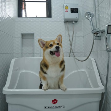 รูปกรูมมิ่งค่ะ-(1)