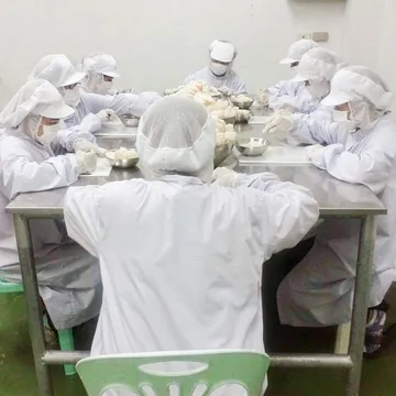 OEM(1)