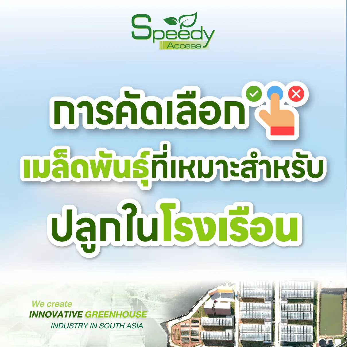 ปกการคัดเลือกเมล็ด