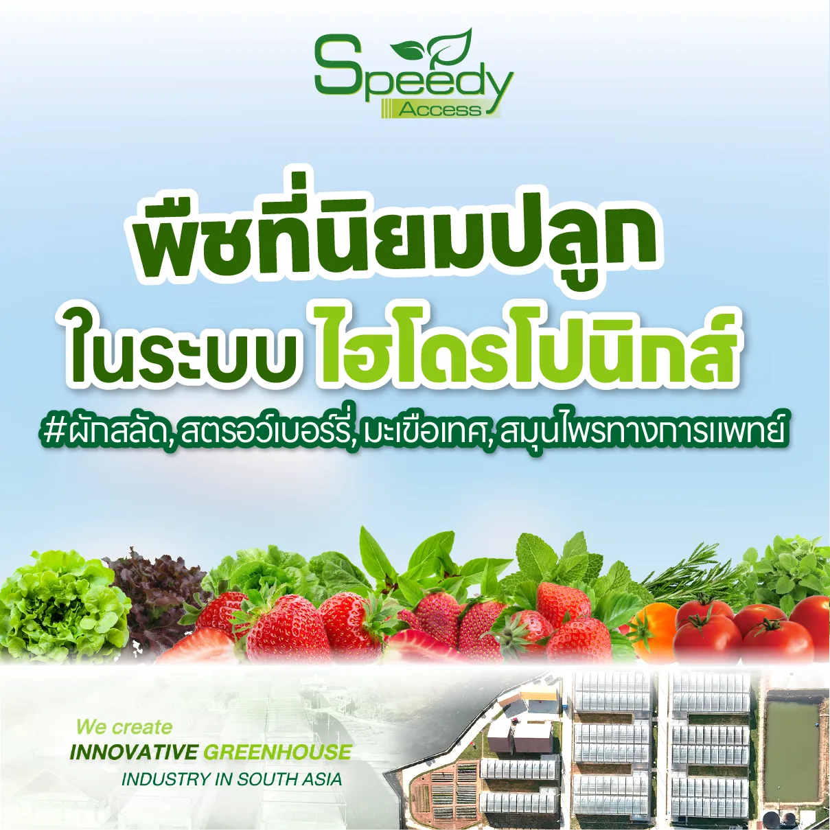 ปกพืชที่นิยมปลูกในระบบไฮโดรโปนิกส์