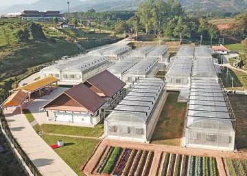 GREENHOUSE