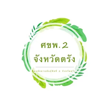 speedyaccess(16)