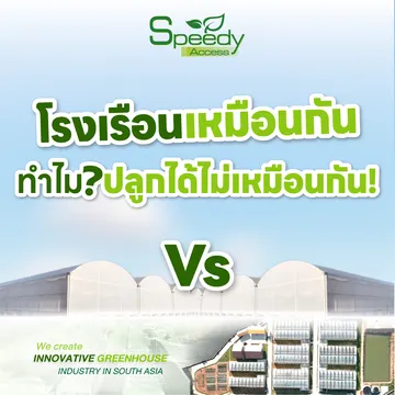 ปกโรงเรือนเหมือนกันปลูกได้ไม่เหมือนกัน