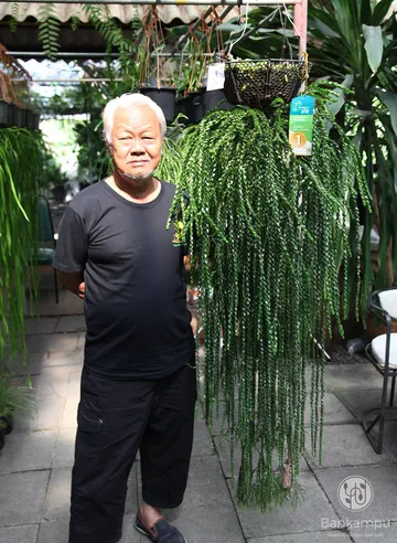 เกี่ยวกับเรา-3