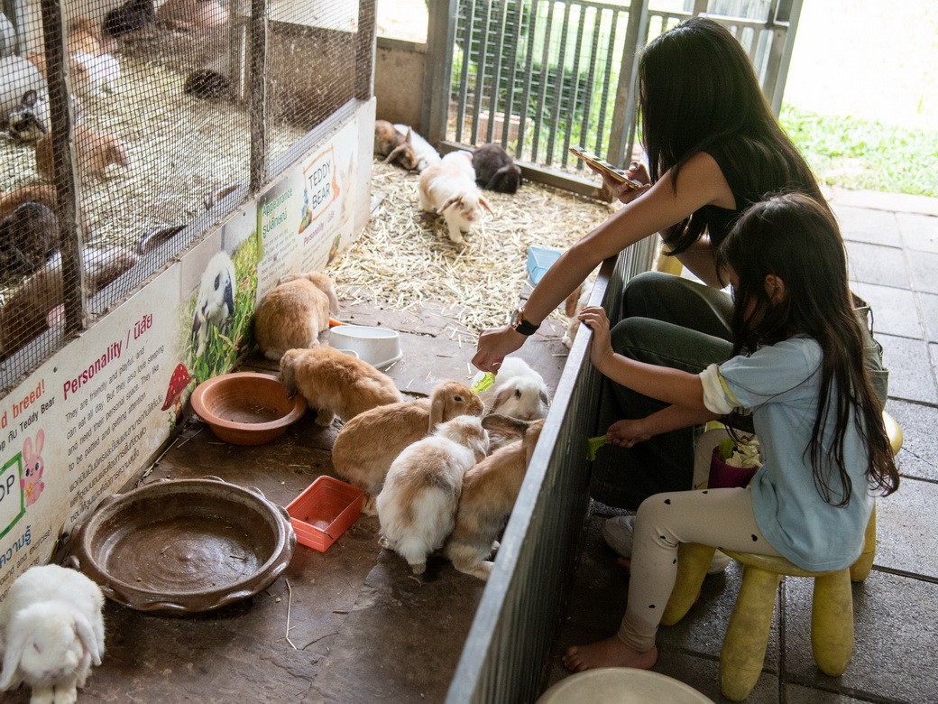 RabbitFarm-04