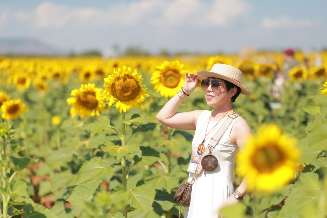 Sunflower-06