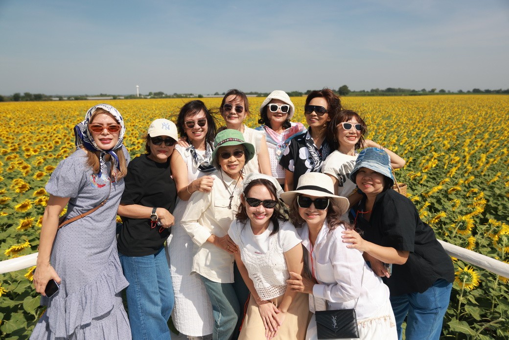Sunflower-1