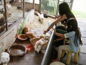 RabbitFarm-04