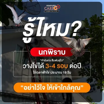 บริการของเรา4
