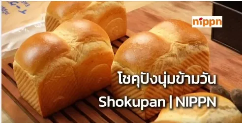EagleShokupan