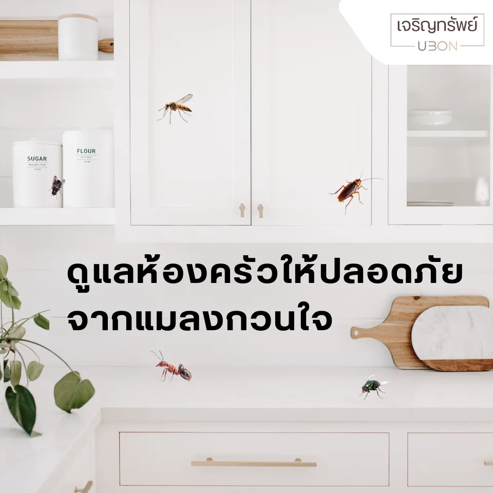 Kitchen(9)