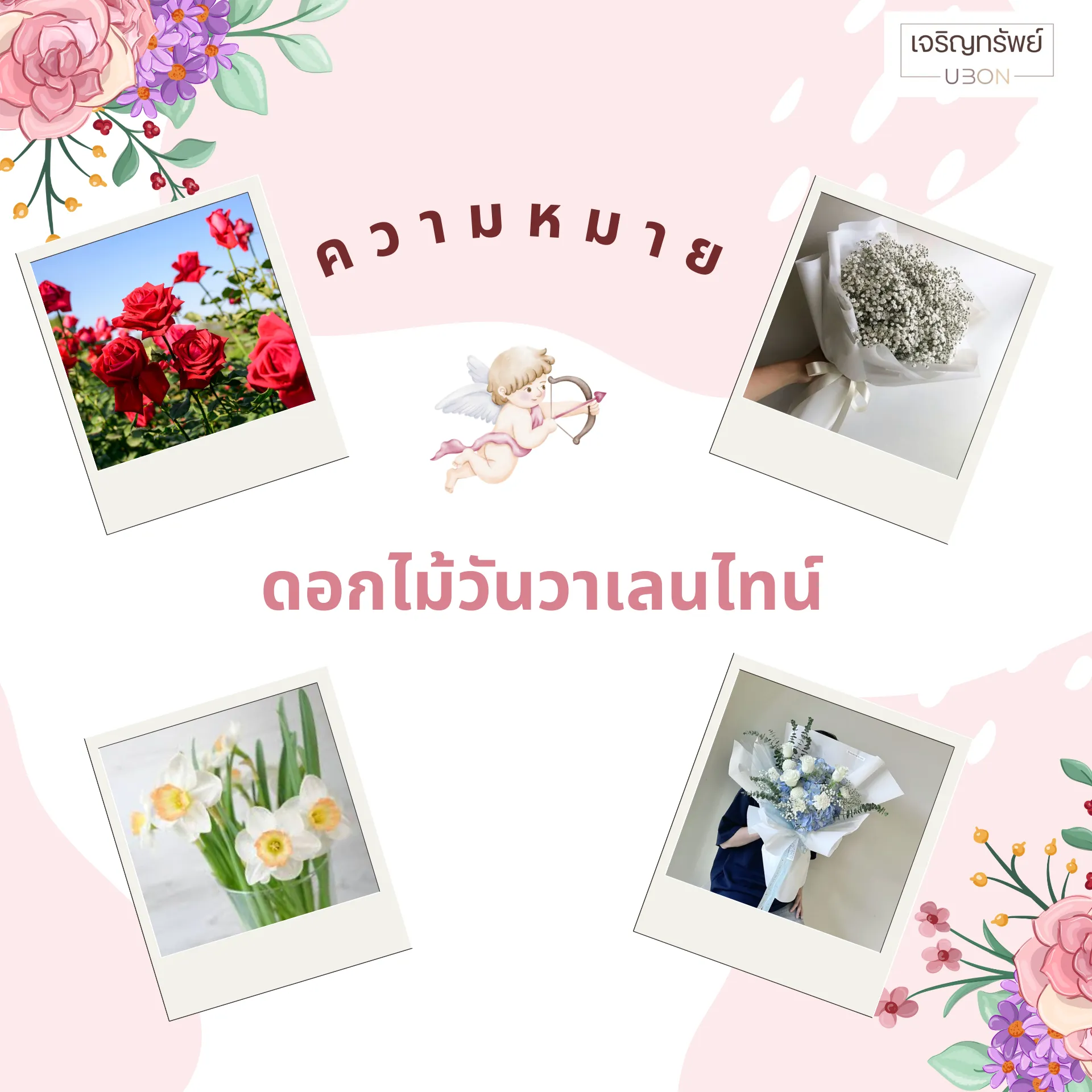 เพิ่มข้อความในส่วนเนื้อหาเล็กน้อย