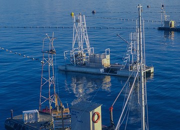 Marine-Network-3
