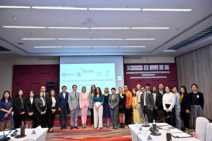 Public-PrivateEngagementinVoluntaryCarbonMarket(3)