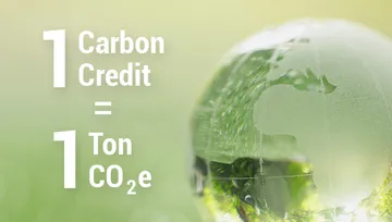 carbonmarketsclub-tCO2e