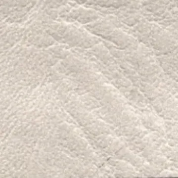 101