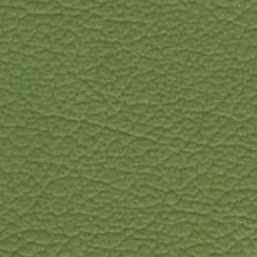 119