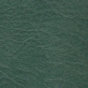 131