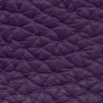 51