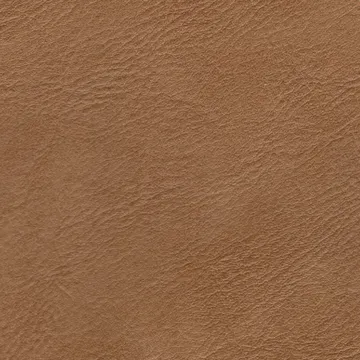 51