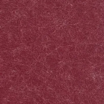 6181671299609350