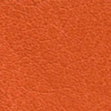 65