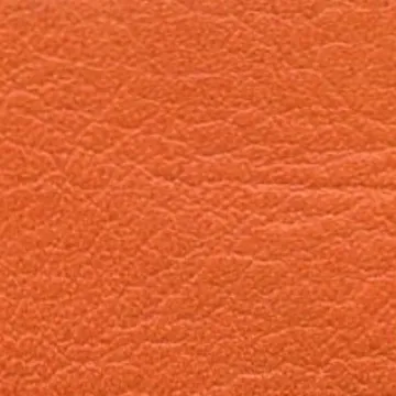 66